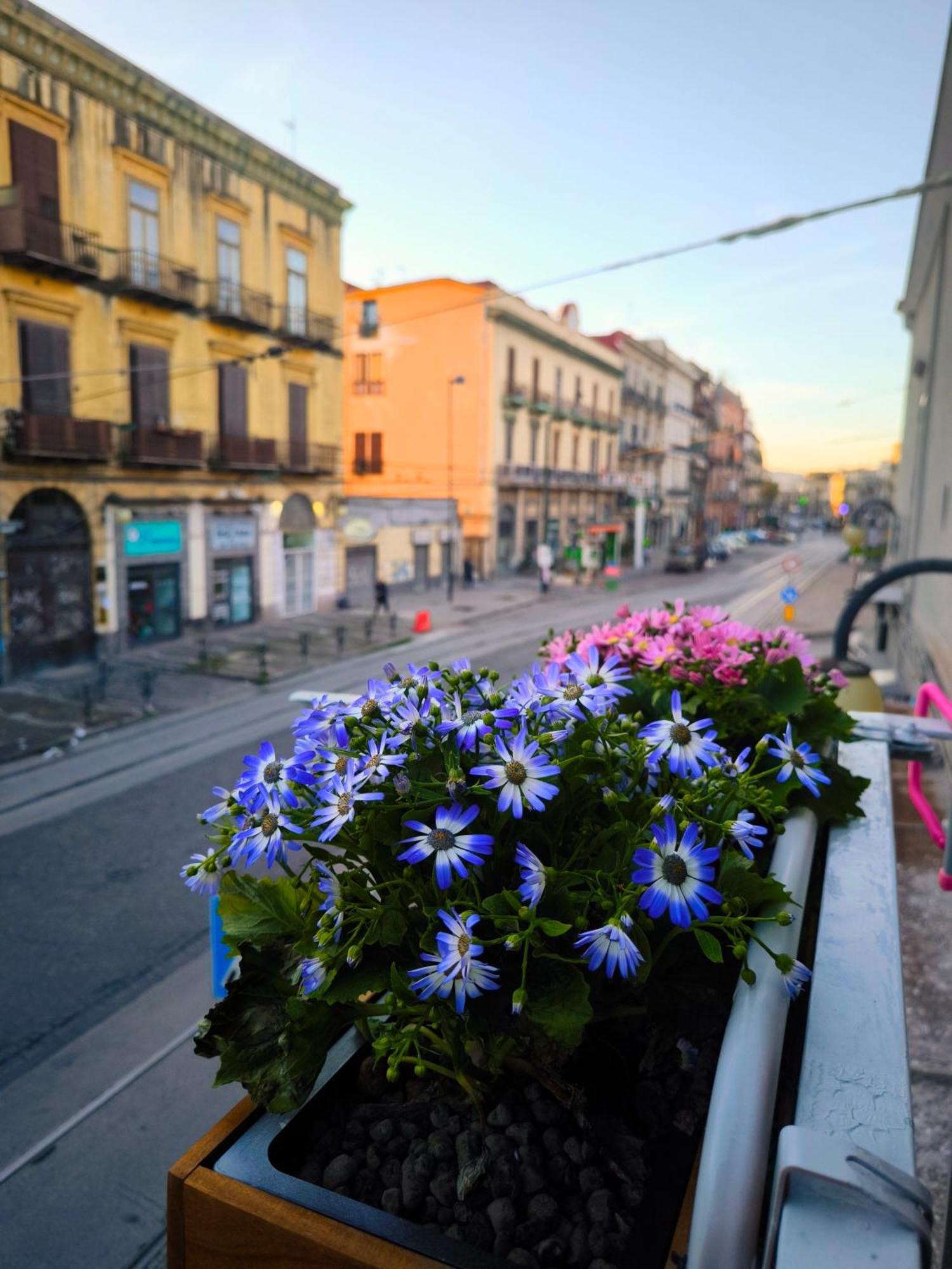 Casamira B&B Napoli Centrale Buitenkant foto